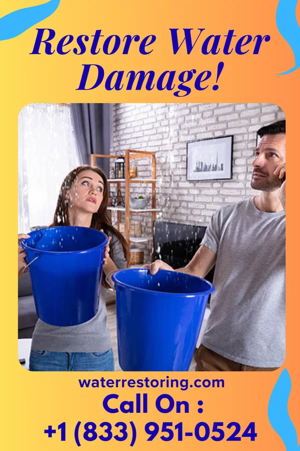 water restoration Pacific Water Removal Specialists Bonnie