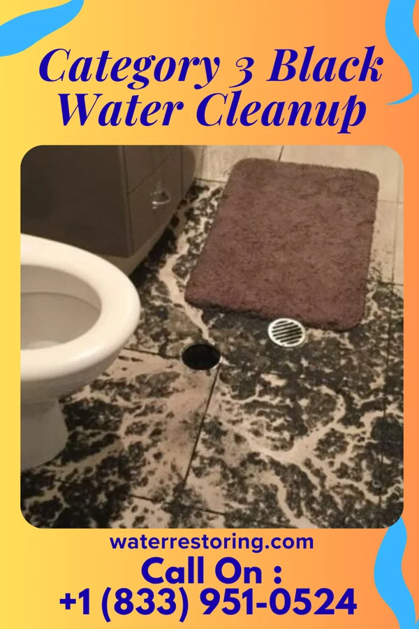 Category 3 Black Water Cleanup in Bonnie, IL