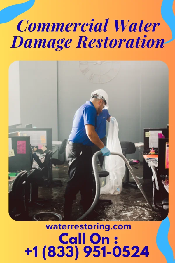 Commercial Water Damage Restoration in Bonnie, IL