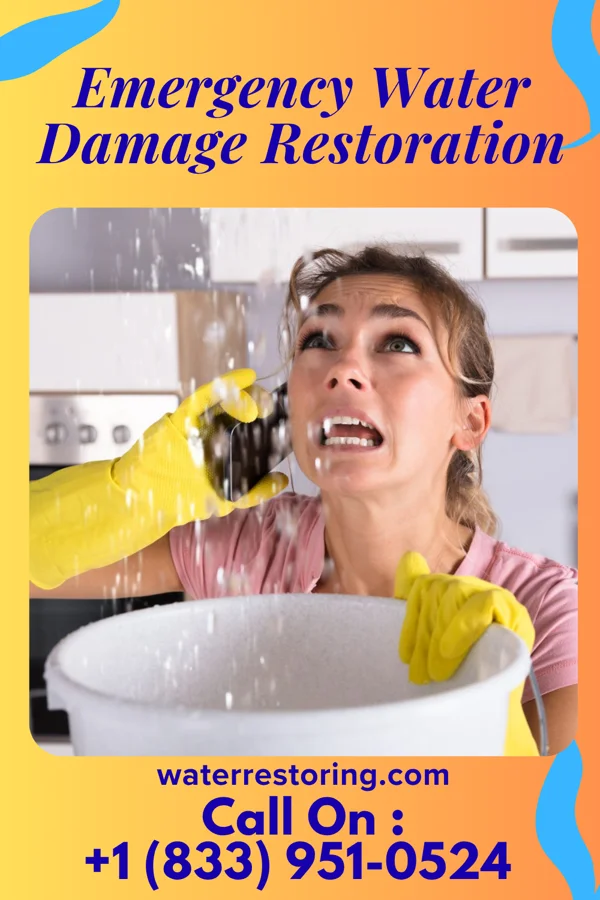 Emergency Water Damage Restoration in Bonnie, IL
