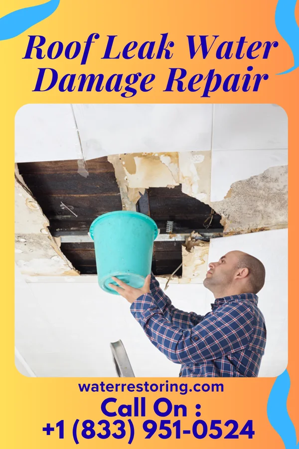 Roof Leak Water Damage Repair in Bonnie, IL